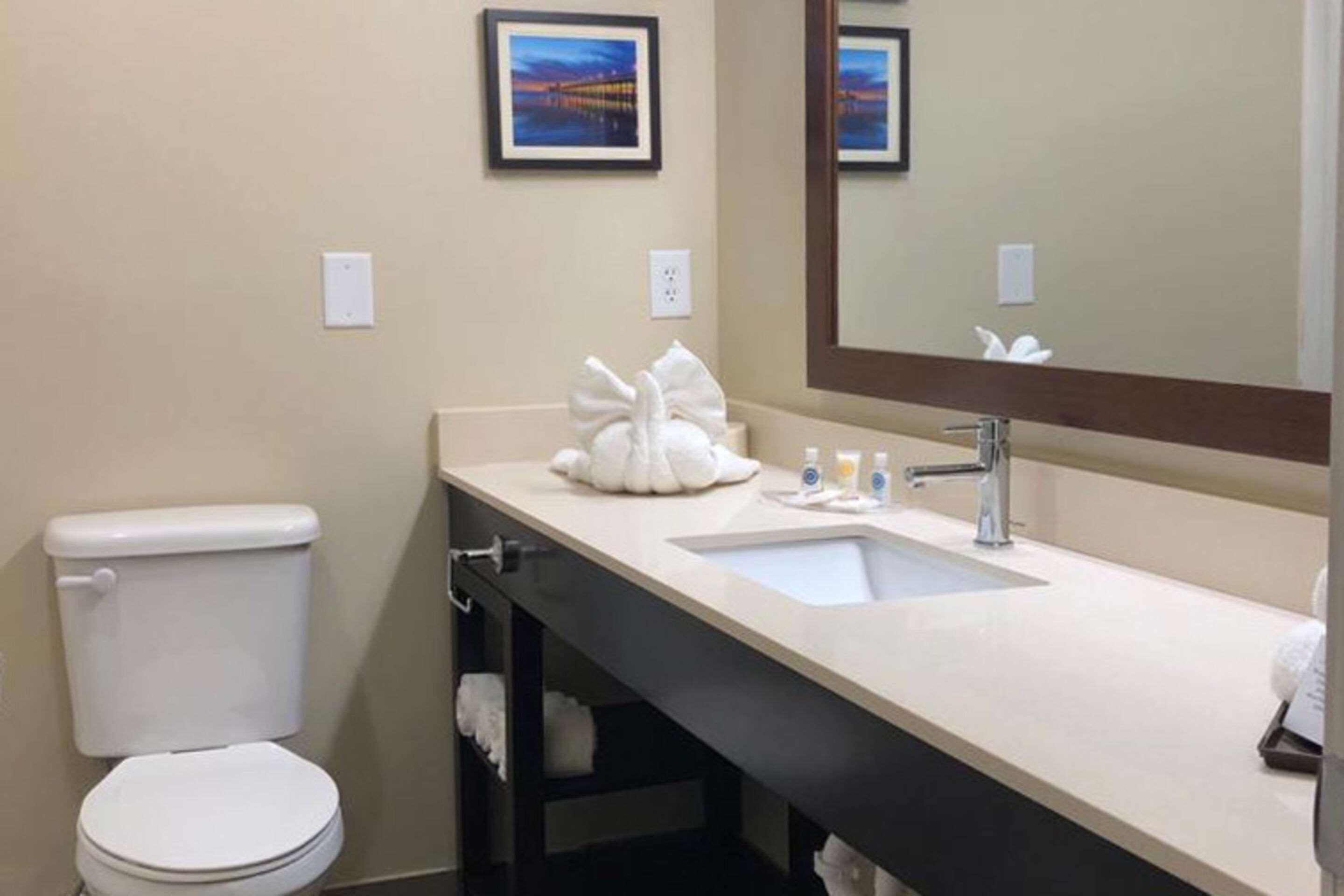 Comfort Suites Near Camp Lejeune Jacksonville Dış mekan fotoğraf