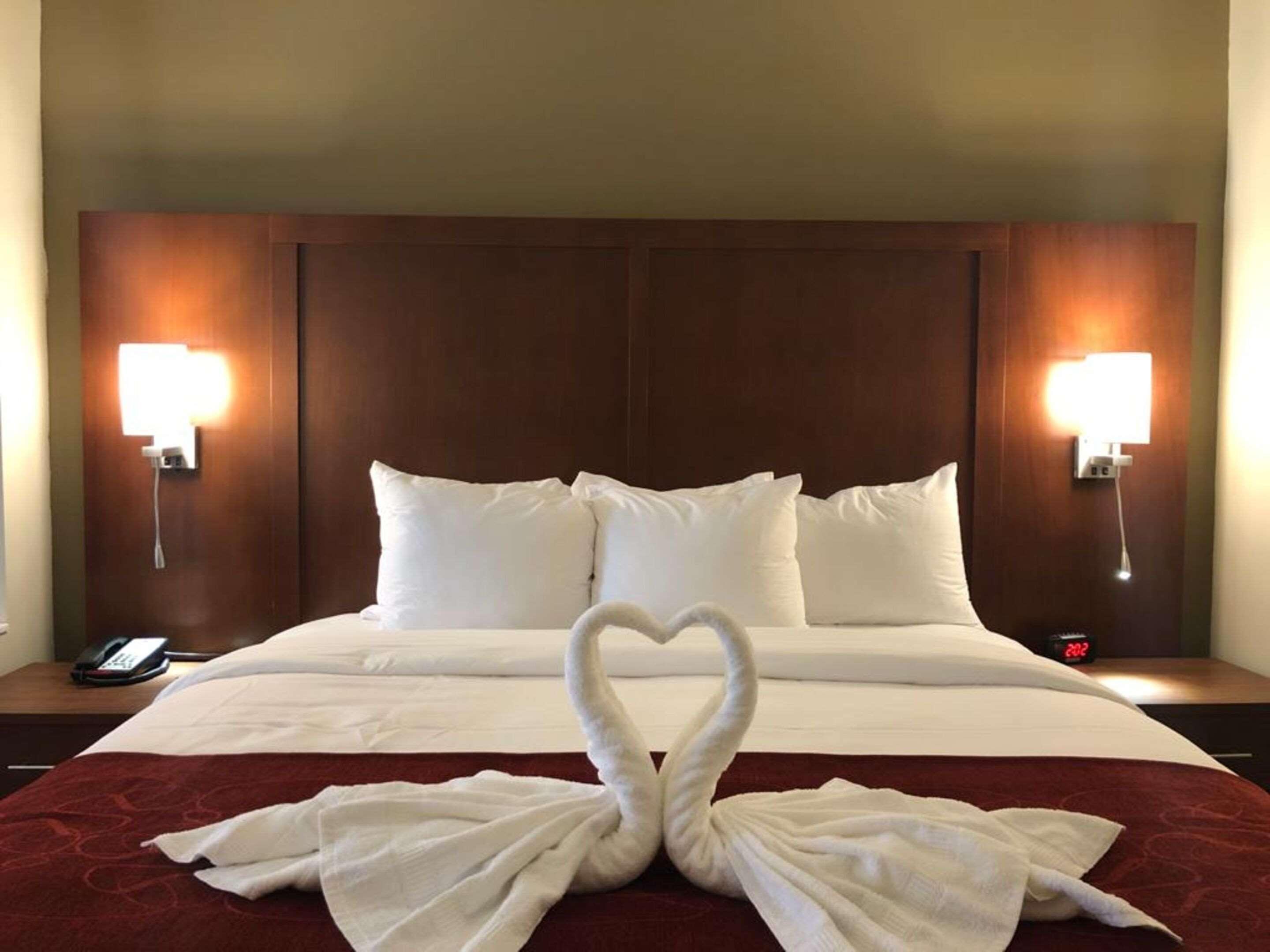 Comfort Suites Near Camp Lejeune Jacksonville Dış mekan fotoğraf