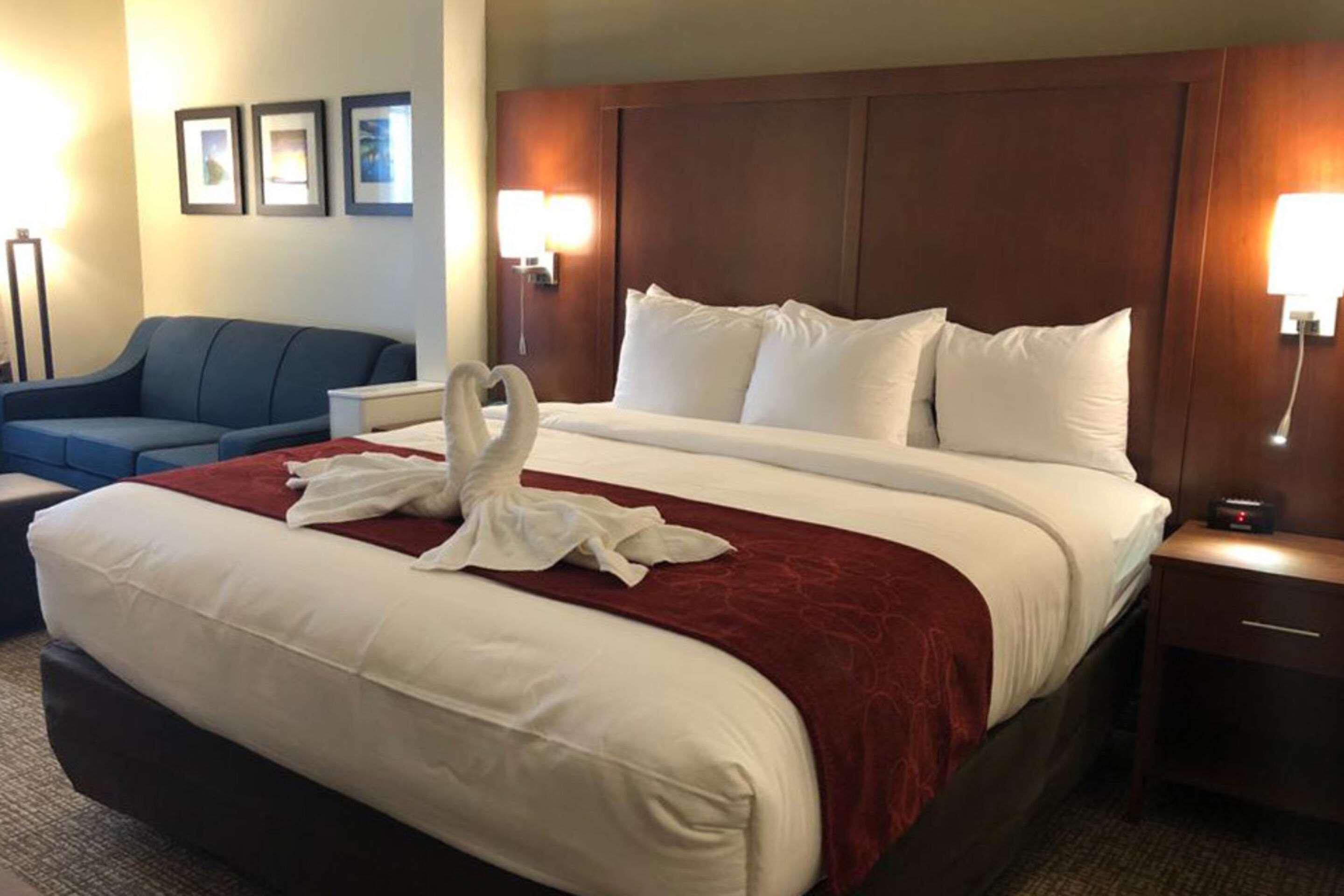 Comfort Suites Near Camp Lejeune Jacksonville Dış mekan fotoğraf