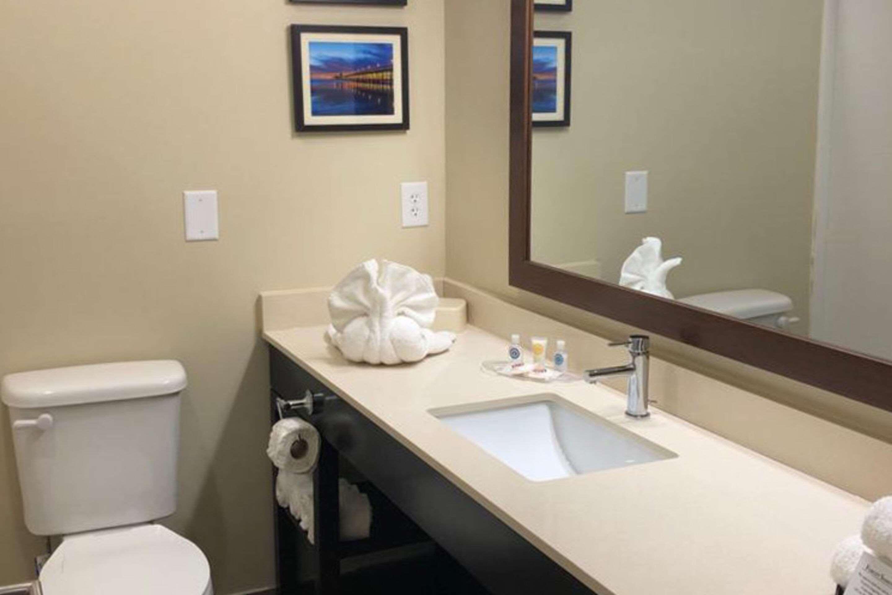 Comfort Suites Near Camp Lejeune Jacksonville Dış mekan fotoğraf