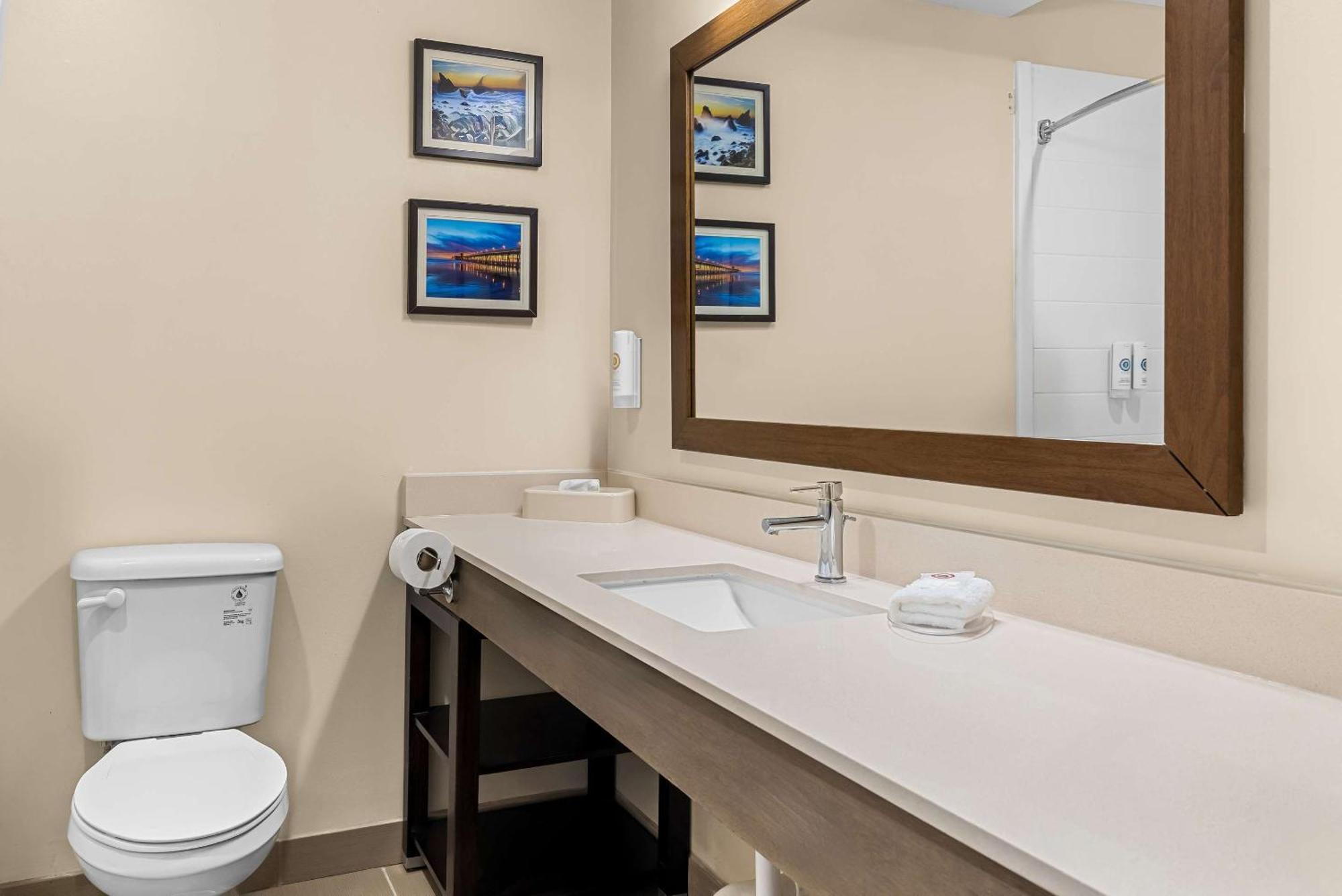 Comfort Suites Near Camp Lejeune Jacksonville Dış mekan fotoğraf